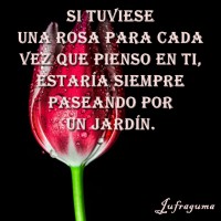 /album/fotogaleria/si-tuviese-jpg/